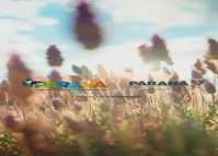 Inverno no Paraná I - Insta